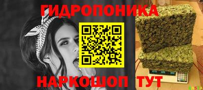 прущая мука Кингисепп