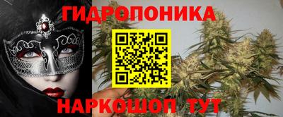 прущая мука Кингисепп