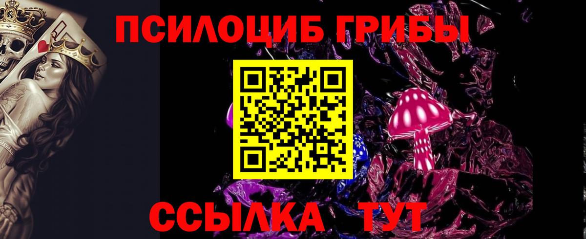 где купить   Галлюциногенные грибы Psilocybine cubensis  Вход с VPN  Кинешма 